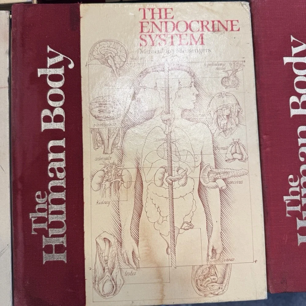 Vintage 80's The Human Body Book Lot 6 HC US News Books Anatomy Science Medical